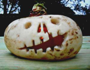 Halloween Turnip