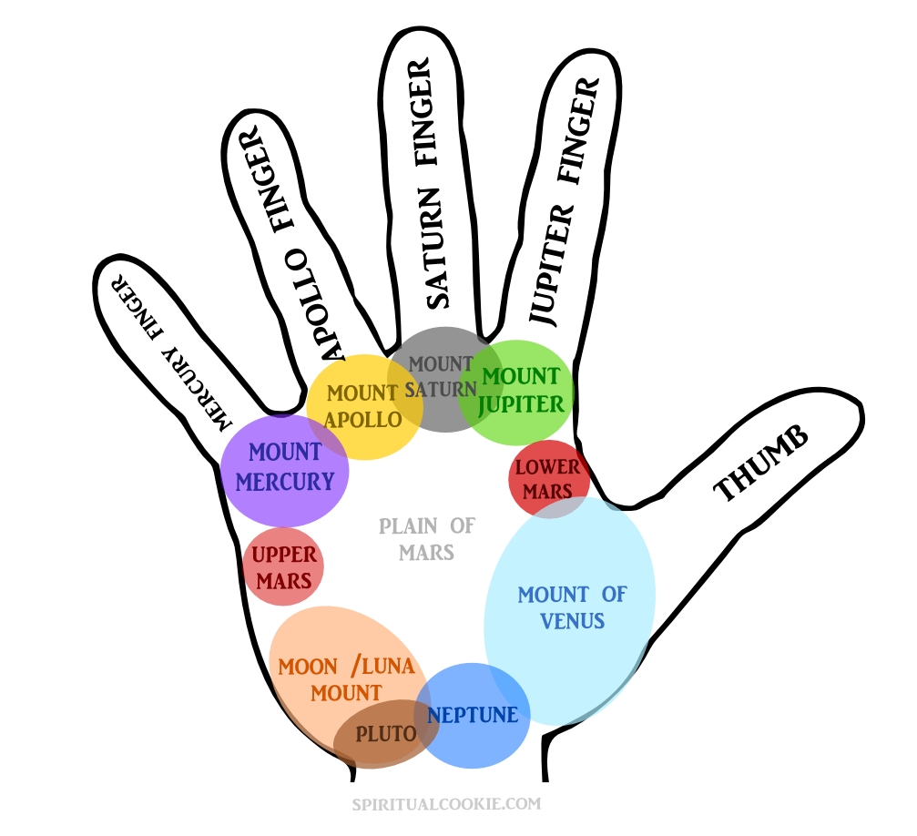 the mount of mars - lower mars, upper mars, and the plain of mars  on the palm of the hand and their meaning in palmistry or hand reading