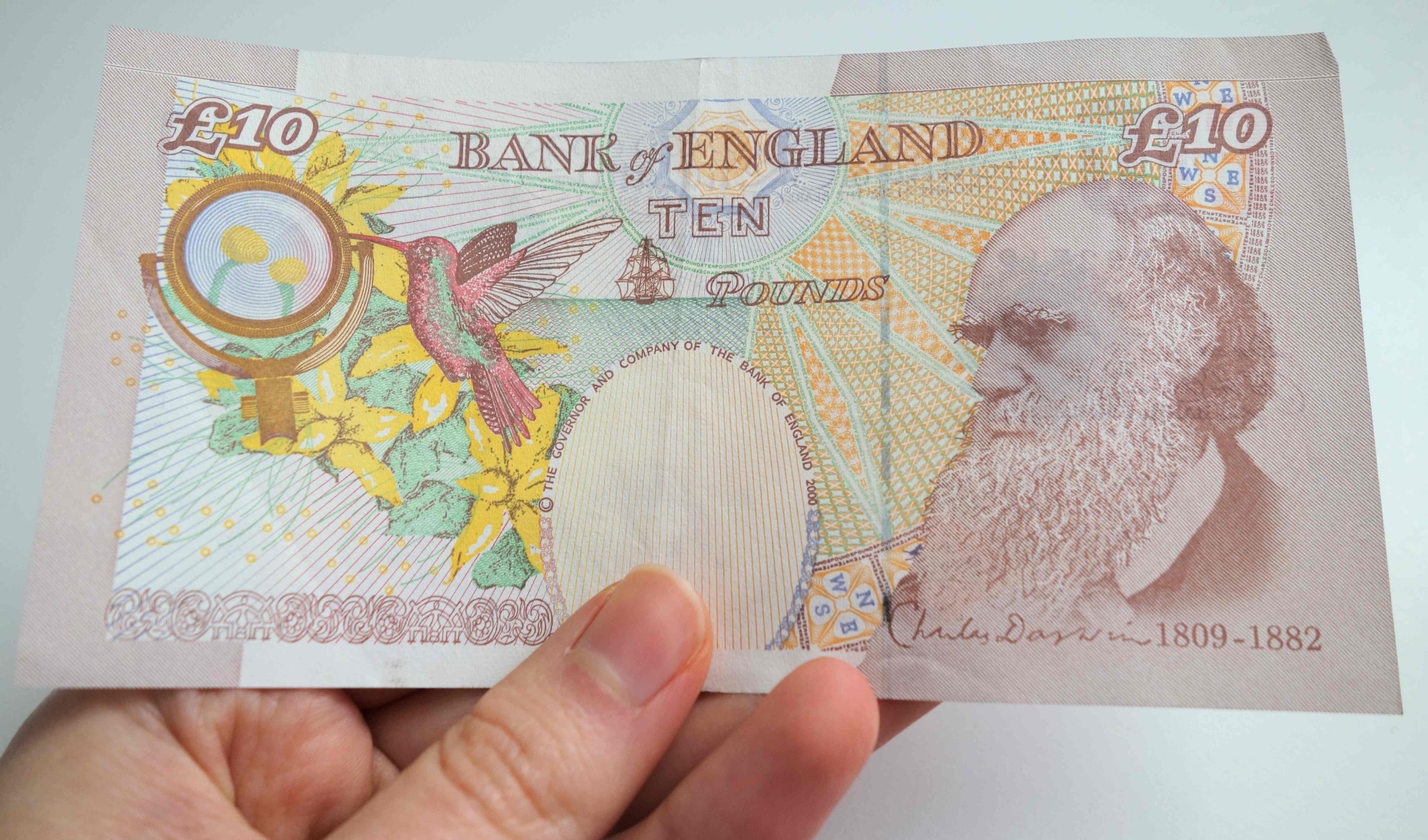 Bank of England tenner - ten 10 pound bank note featuring Charles Darwin - UK money banknote